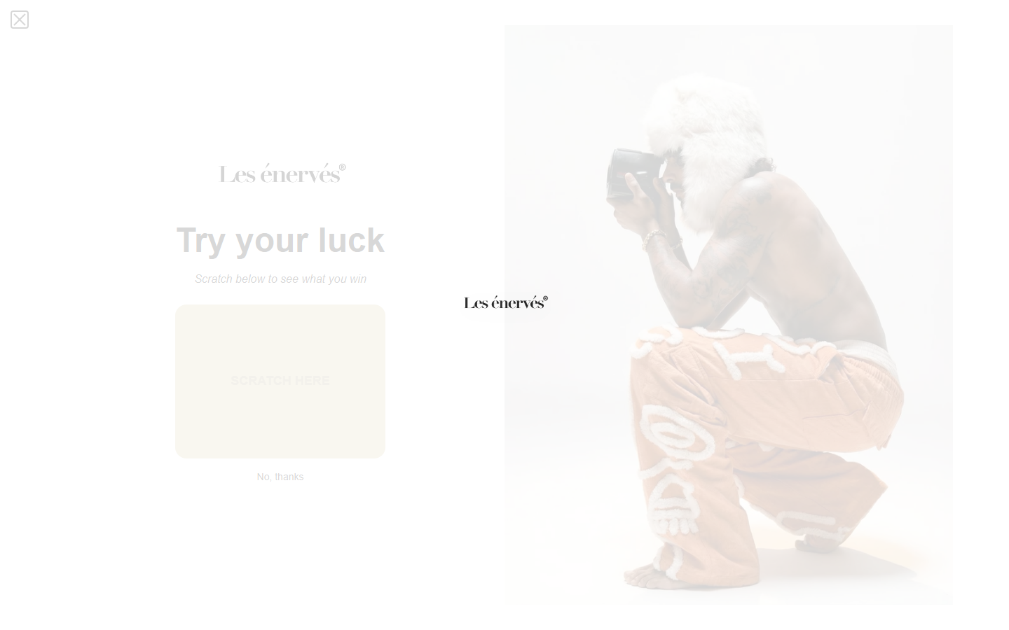 Maison Les Énerves - Custom Shopify Developer Work